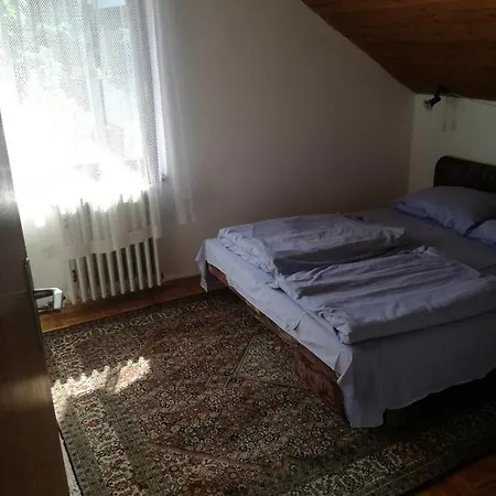 Zigzag * Sarajevo